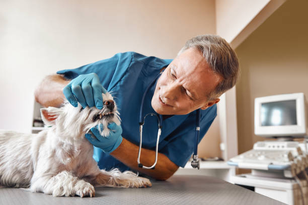 Best Same-Day Emergency Dentist in Desert Edge, CA